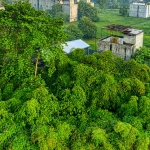 Синтетическое объединение игровых элементов в целостную систему