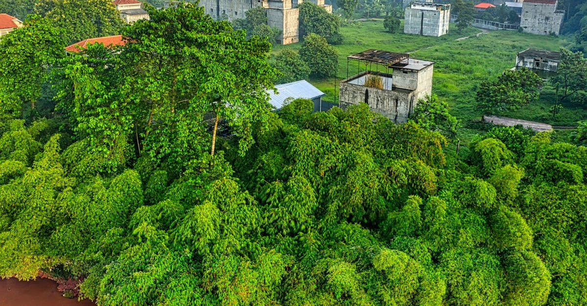 Синтетическое объединение игровых элементов в целостную систему