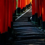 Синтетическая архитектура слот-системы Gates of Olympus